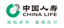 中国人寿保险集团公司